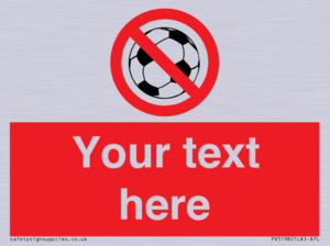 Custom No Ball Games Sign